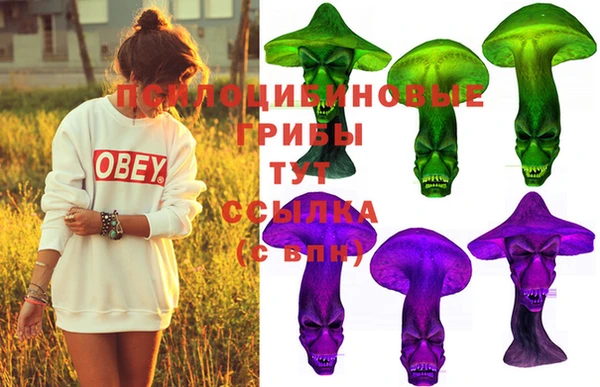 стафф Абинск