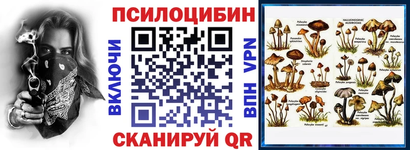 где можно купить   дарк нет как зайти  Галлюциногенные грибы Psilocybe  Цимлянск 